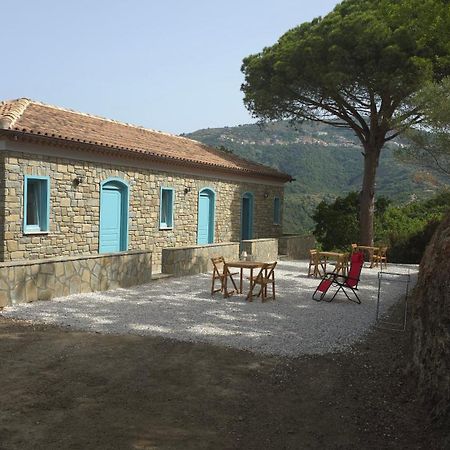 Agriturismo Le Terre Di Venere Acciaroli Dış mekan fotoğraf