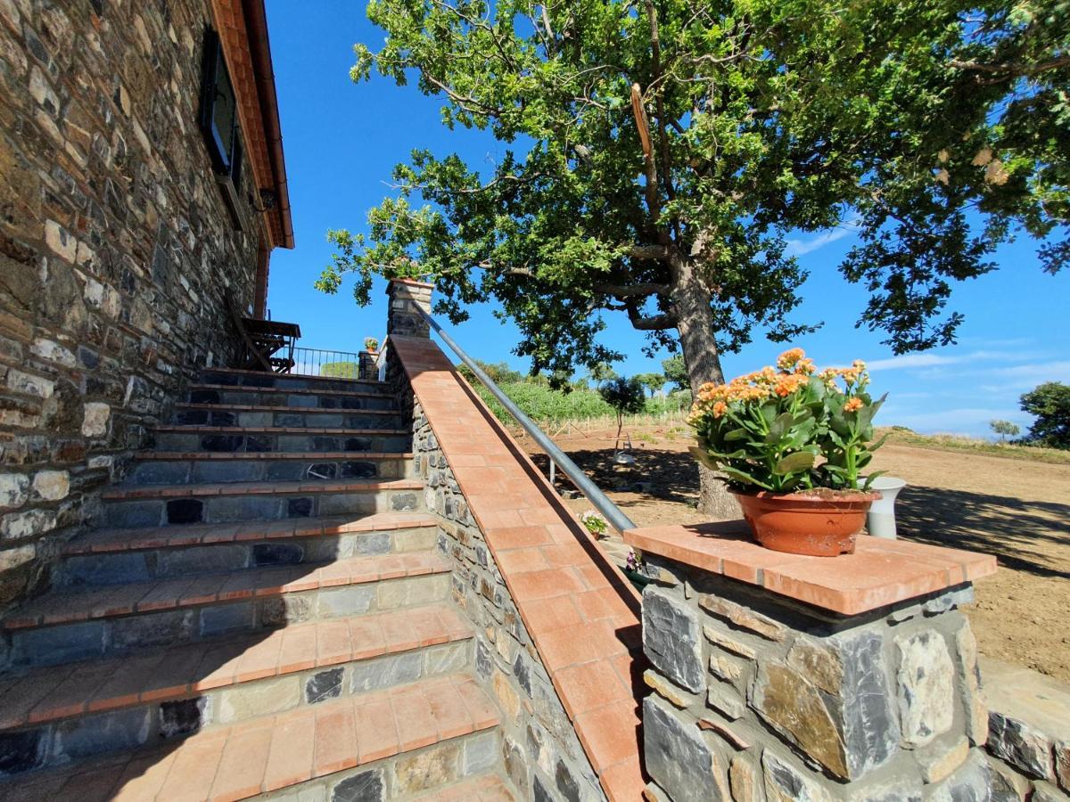 Agriturismo Le Terre Di Venere Acciaroli Dış mekan fotoğraf