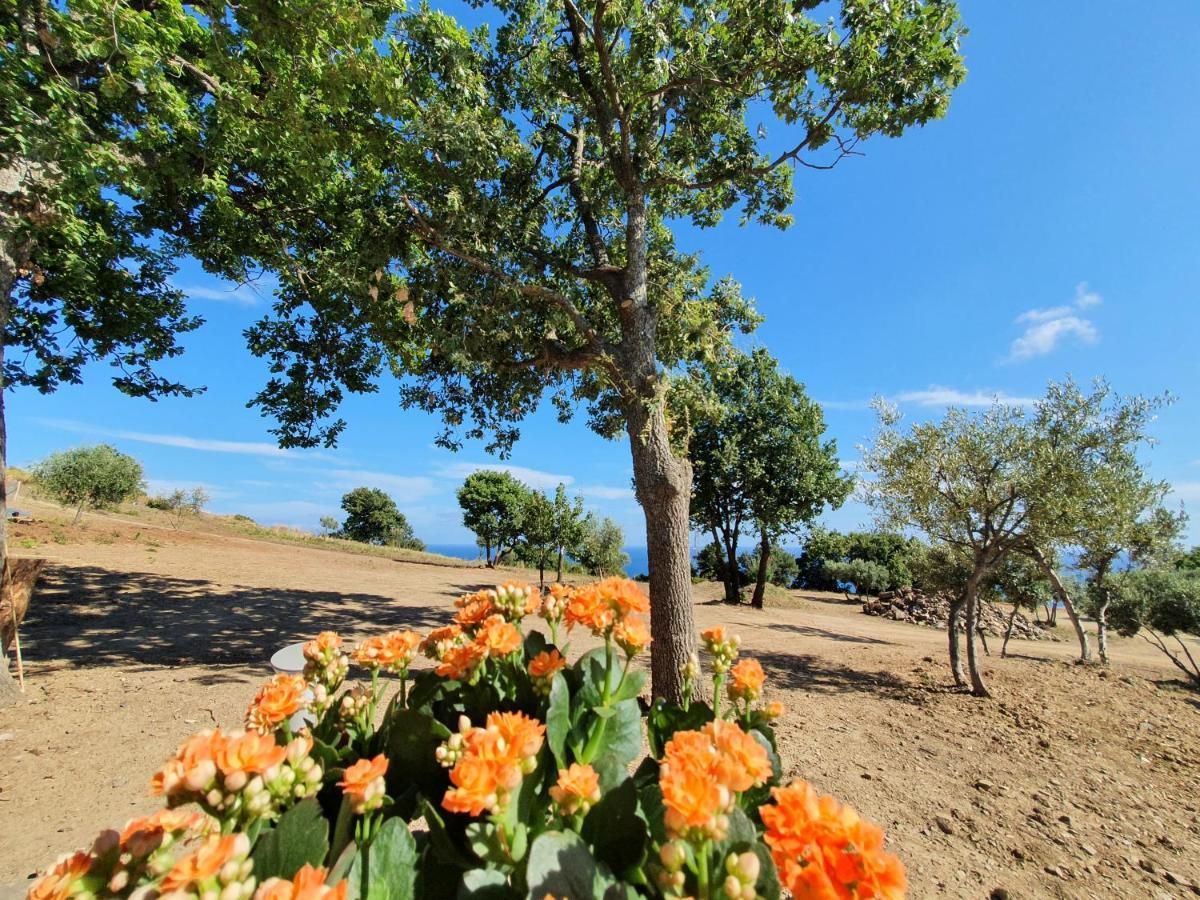Agriturismo Le Terre Di Venere Acciaroli Dış mekan fotoğraf