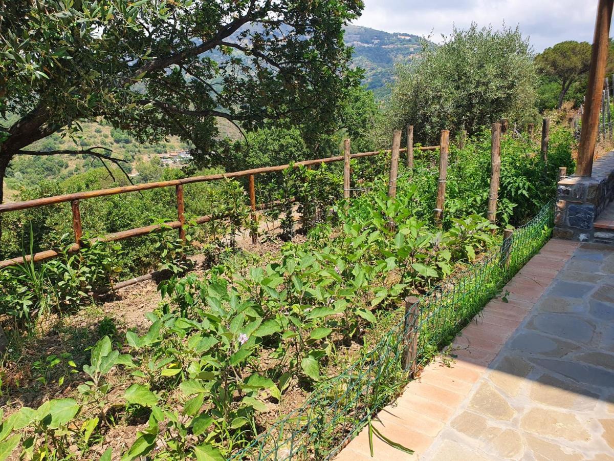 Agriturismo Le Terre Di Venere Acciaroli Dış mekan fotoğraf