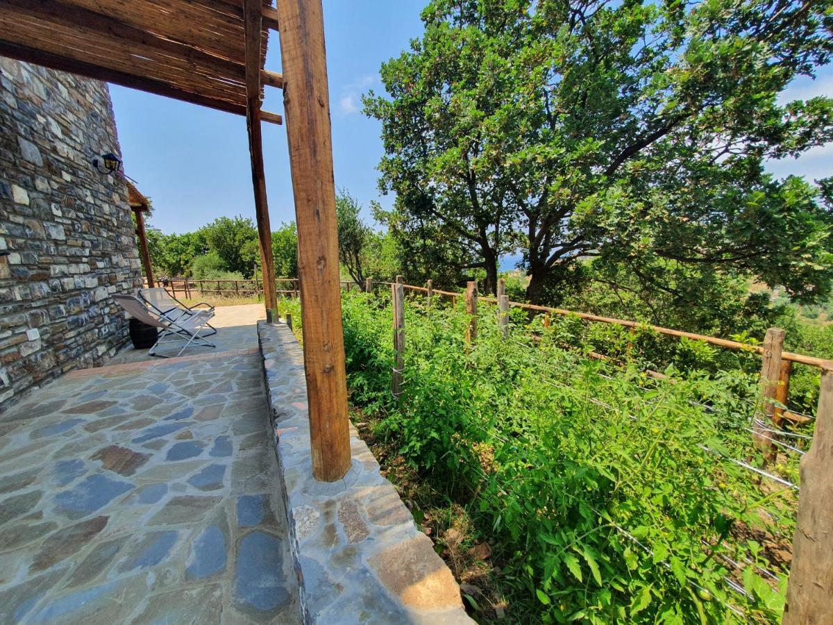 Agriturismo Le Terre Di Venere Acciaroli Dış mekan fotoğraf