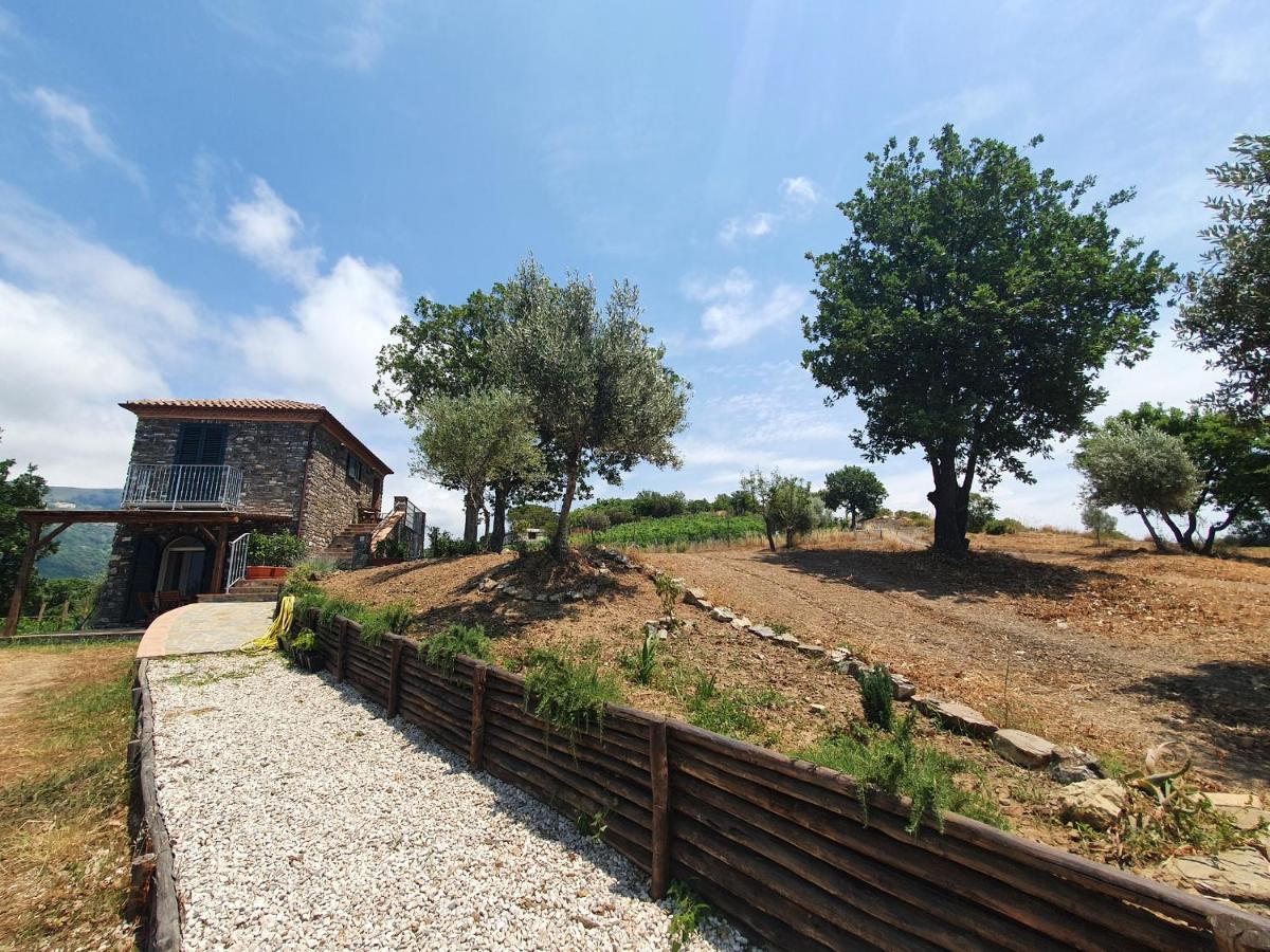 Agriturismo Le Terre Di Venere Acciaroli Dış mekan fotoğraf