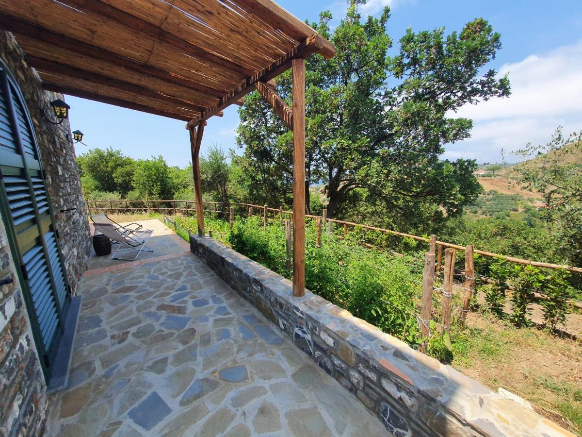 Agriturismo Le Terre Di Venere Acciaroli Dış mekan fotoğraf
