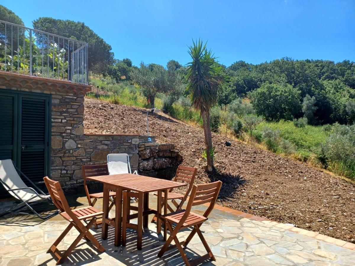 Agriturismo Le Terre Di Venere Acciaroli Dış mekan fotoğraf