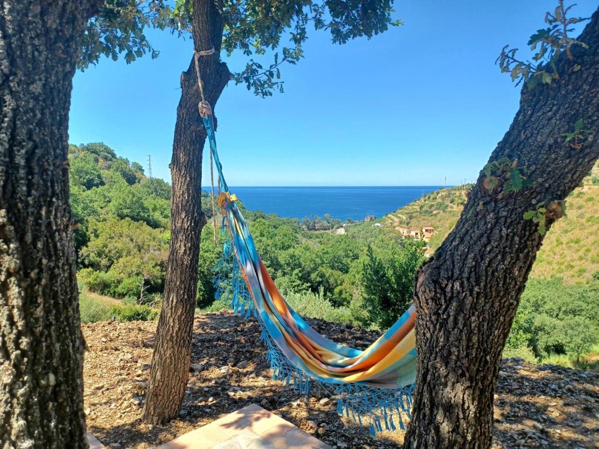 Agriturismo Le Terre Di Venere Acciaroli Dış mekan fotoğraf