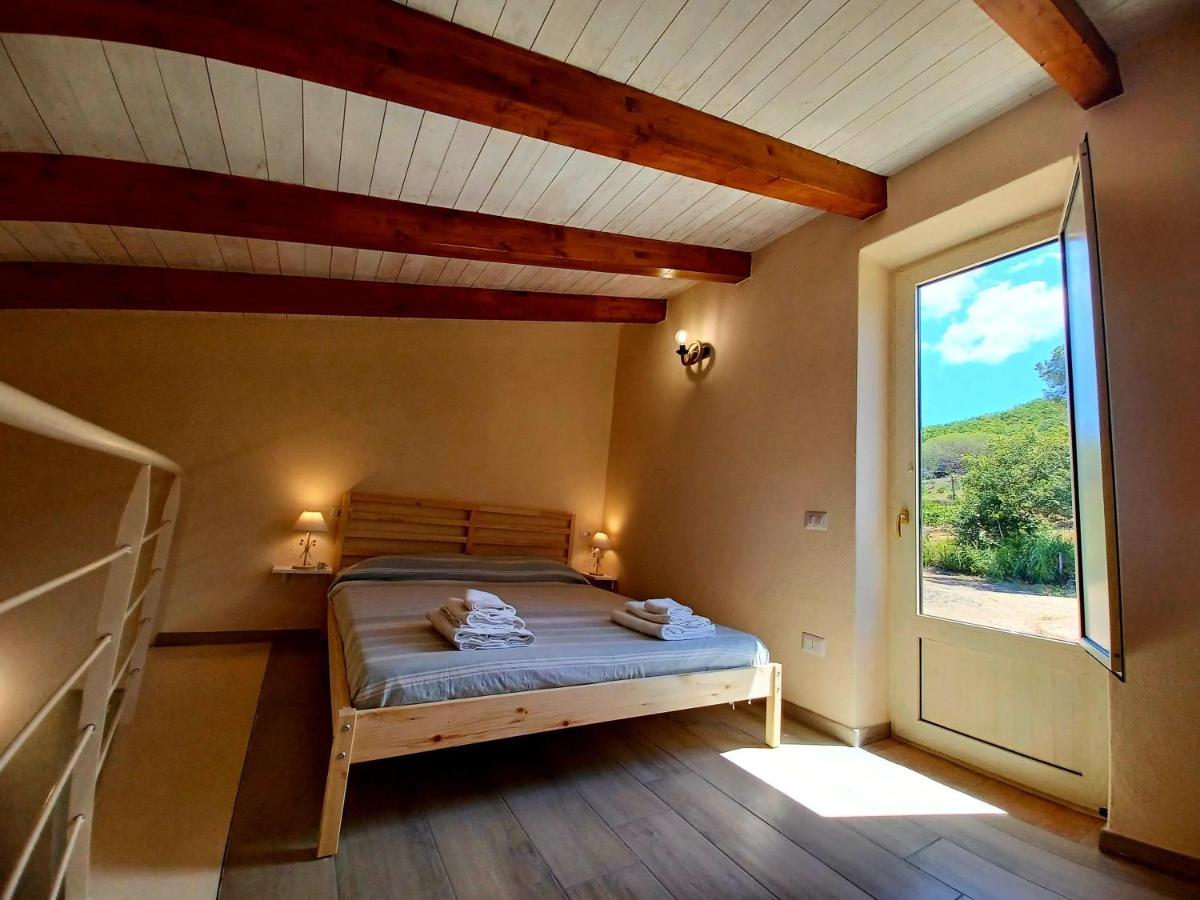 Agriturismo Le Terre Di Venere Acciaroli Dış mekan fotoğraf