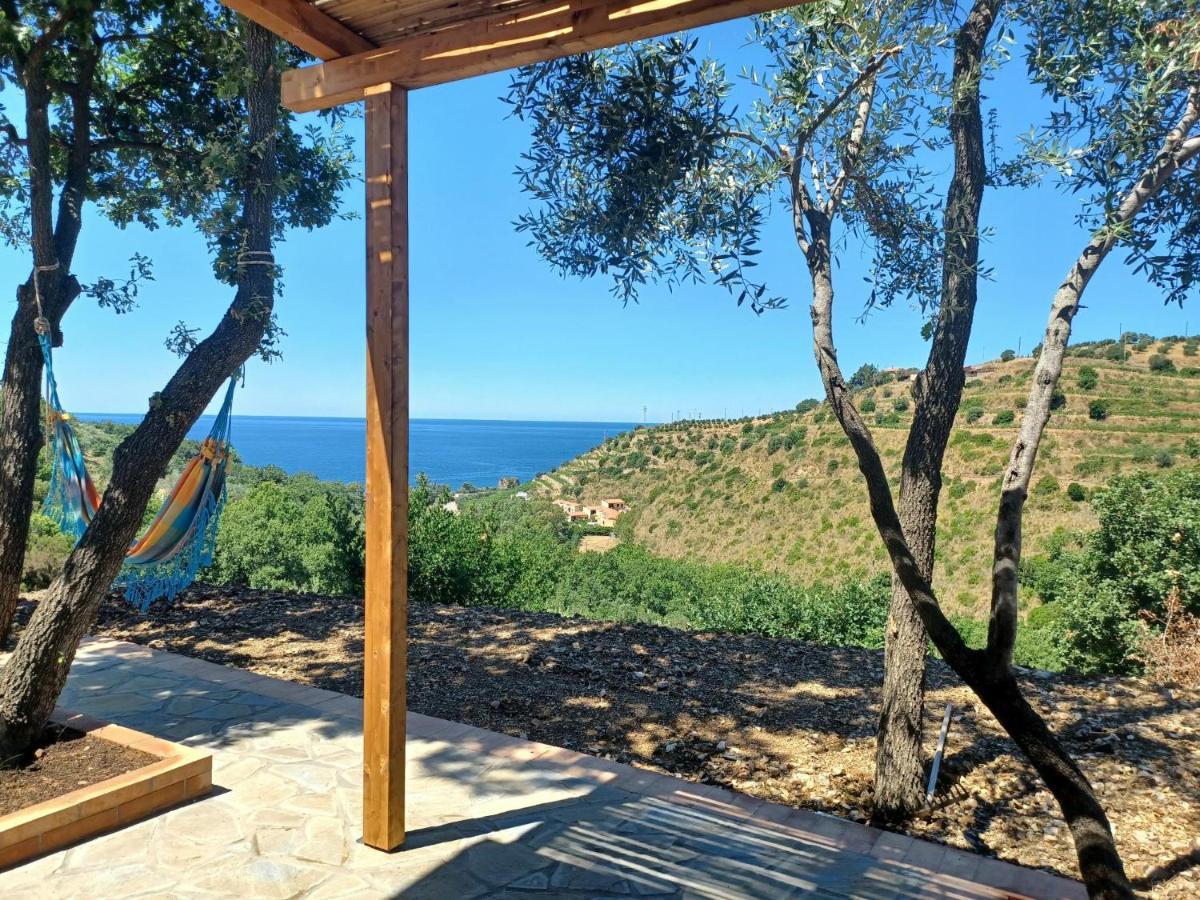 Agriturismo Le Terre Di Venere Acciaroli Dış mekan fotoğraf