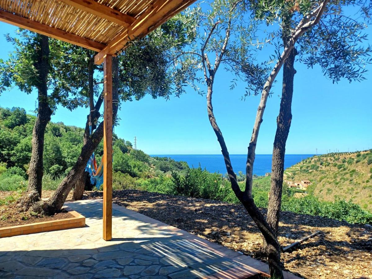 Agriturismo Le Terre Di Venere Acciaroli Dış mekan fotoğraf