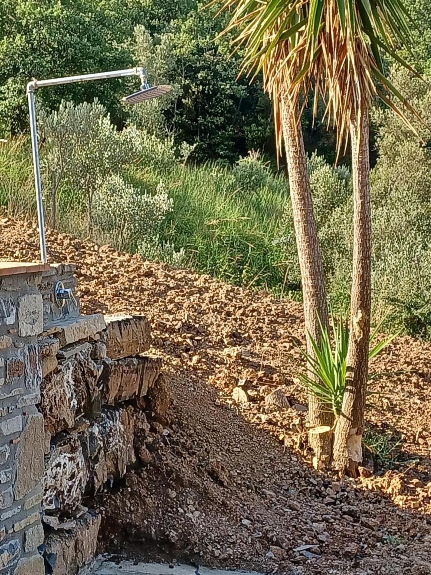 Agriturismo Le Terre Di Venere Acciaroli Oda fotoğraf